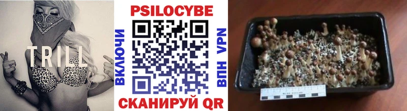 где найти   Урай  даркнет наркотические препараты  Псилоцибиновые грибы мухоморы 